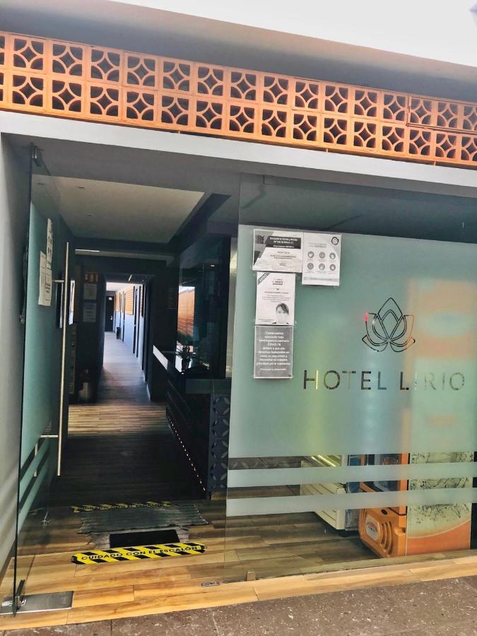 Lirio - Adult Only 2* Mexico City